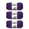Caron Simply Soft Party Purple Sparkle Yarn - 3 Pack of 85g/3oz - Acrylic - 4 Medium (Worsted) - 164 Yards - Knitting/Crochet